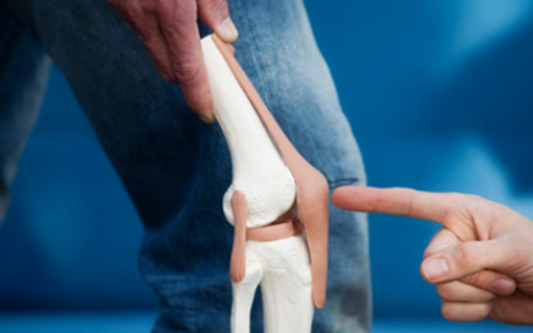 Best Knee doctor in Mumbai