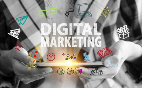 Digital Marketing Companies in Chandigarh