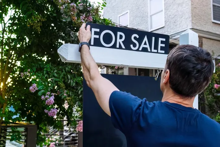Professionals real estate