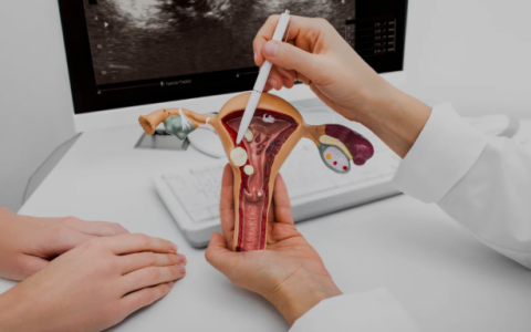 Gynaecologist Robotic Surgeon in Mohali