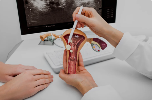 Gynaecologist Robotic Surgeon in Mohali