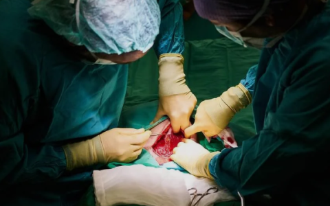 best hip replacement surgeon in Chandigarh,